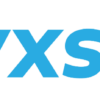 Wordpress Developer
